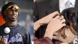 Jose Reyes Seinfeld The Puppy Begs Jose Reyes The Human To Stay With The Mets